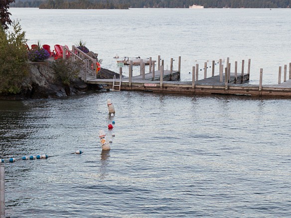 Wedding photos on the dock Sep 26, 2015 6:32 PM : Sarah Strasser, Steve Shapiro