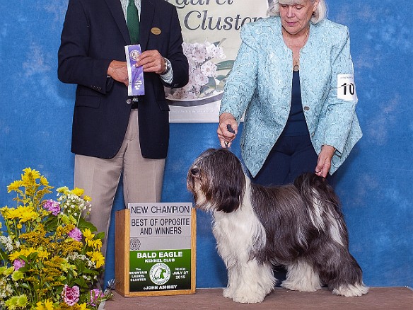 Sophie Championship Three weeks later, Caryl took Sophie on a road trip to Bloomsburg, PA where she got her final points and came home a champion! Well she was always a winner to...