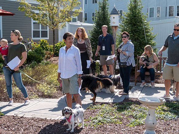 Bridges Dog Show 2019-005 The fierce and unruly contestants waiting to parade in front of the judges