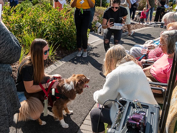 Bridges Dog Show 2019-014 Some of the other competitors seem a bit better behaved