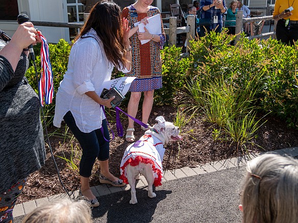 Bridges Dog Show 2019-016 If we had only known there was going to be a costume contest we could have competed against Nurse Bulldog