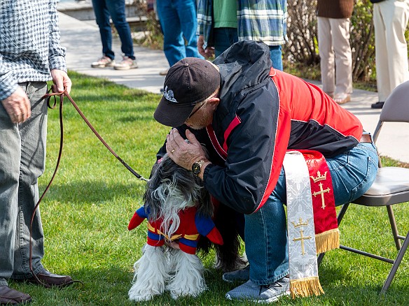 DogsOnTheDock2019-005 Before the contests begin the priest gives each dog a blessing. I didn't confess that Sophie is Jewish but every little prayer helps.