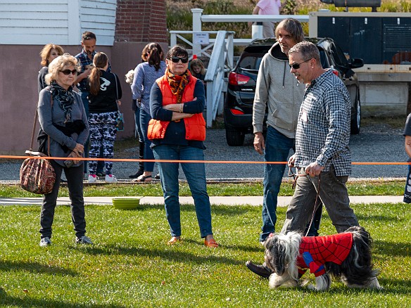 DogsOnTheDock2019-007 Daddy and Sophie doing the walk around the ring for the judges