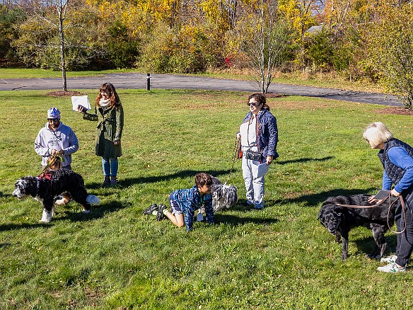 BlessingOfTheAnimals2022-009 A beautiful Fall Sunday afternoon for Rabbi Bellows and Cantor Belinda to bless the animals with song, a little dance, and lots of praise 🙏💕