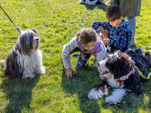 BlessingOfTheAnimals2022-020 A beautiful Fall Sunday afternoon for Rabbi Bellows and Cantor Belinda to bless the animals with song, a little dance, and lots of praise 🙏💕