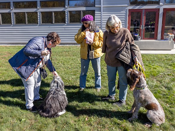 BlessingOfTheAnimals2022-045 A beautiful Fall Sunday afternoon for Rabbi Bellows and Cantor Belinda to bless the animals with song, a little dance, and lots of praise 🙏💕