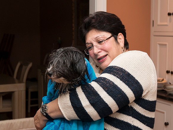 SophieHartfordShow201402-005 Friday night was Valentine's Day, spent at MaryBeth Frosco and Michael Shannon's house in Madison grooming the dogs for the show the next morning.