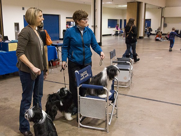 SophieHartfordShow201402-026 Sophie's cheering section- MaryBeth Frosco and Bentley, Deb and Elizabeth (on chair)