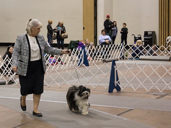 SophieHartfordShow201402-038 Caryl and Elizabeth