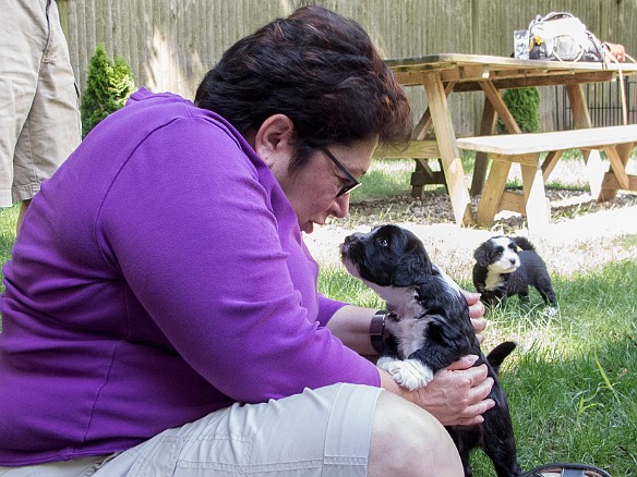 Litter Visit at 6 Weeks-002 Rose is Max's new friend. This might have sealed the deal for her to become our Sophie!