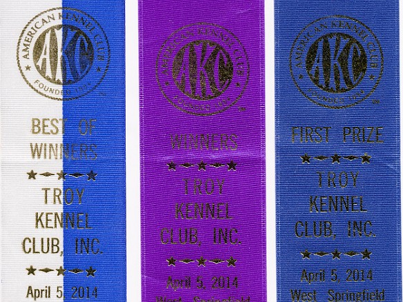 SophieSpringfieldShow20140405-023 Sophie's three ribbons for the day, starting from the right: blue for winning the puppy class, purple and a single point for Winner's Bitch, and blue & white...
