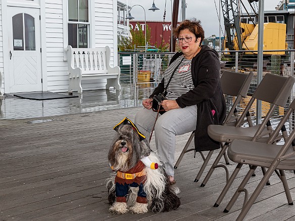 DogsOnTheDock2021-012 Waiting under a little bit of shelter for the fun to start