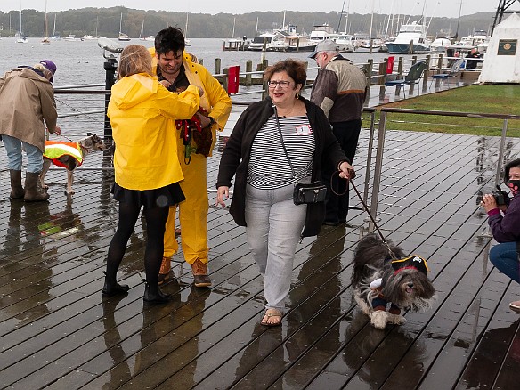 DogsOnTheDock2021-063 There was no shelter from the rain for the