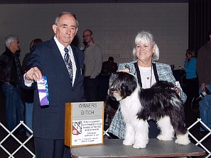 Hartford CT Show - Feb 2014 At the age of 9 months, Sophie and her brother Bentley got their first points at the Governor's Footguard Dog Show in...