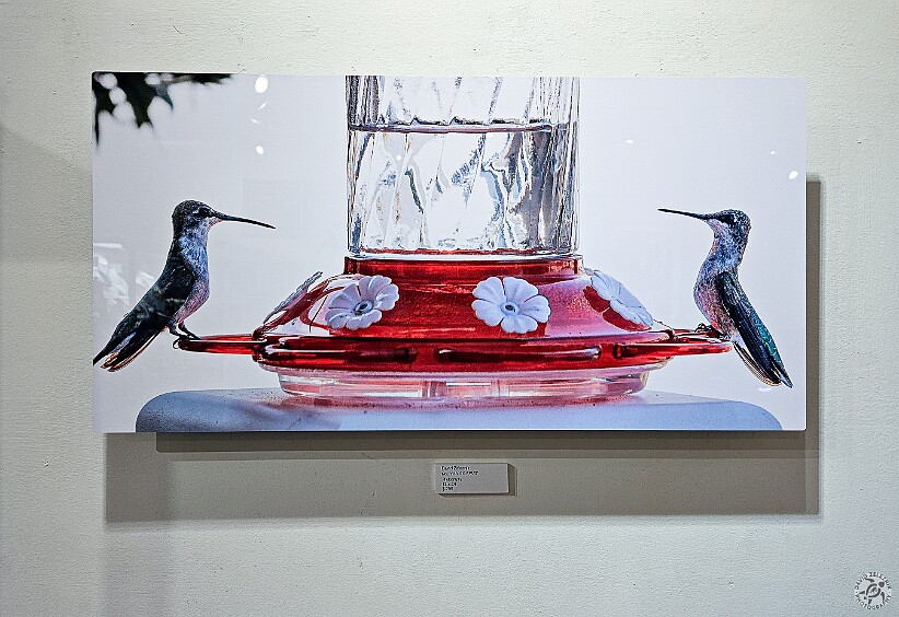 LetThereBeLove2024-001 The exhibit reception was Friday evening and sure enough, there was my photo hanging on the gallery wall! 🖼
