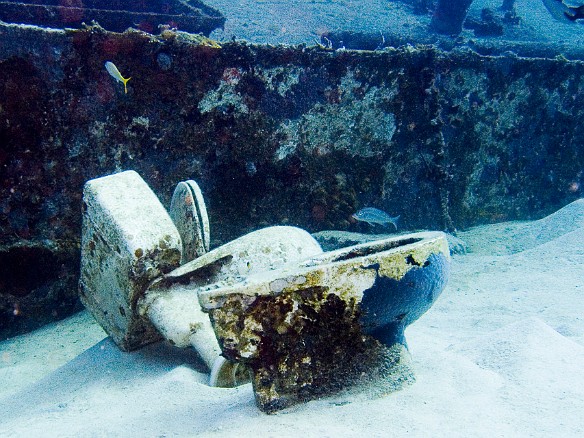 I have no idea what these were doing by the wrecks. My guess is that someone thought they would make a nice addition to the scenery. Feb 2, 2007 9:38 AM : BVI, Diving, Virgin Gorda 2007-02