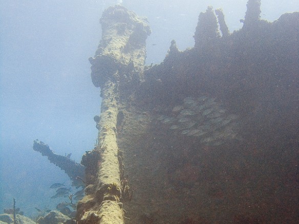 This is the drive shaft of the Rhone, you can see that the hull split wide open like it was fileted Feb 6, 2007 11:40 AM : BVI, Diving, Virgin Gorda 2007-02