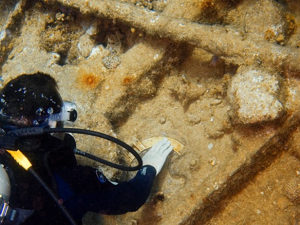 Every diver is supposed to rub "lucky porthole #26" for good luck. This is supposedly the porthole of the only passenger that survived the wreck. Feb 6, 2007 11:45 AM : BVI, Diving, Virgin Gorda 2007-02