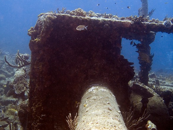 The driveshaft terminates at this gearbox Feb 6, 2007 11:46 AM : BVI, Diving, Virgin Gorda 2007-02