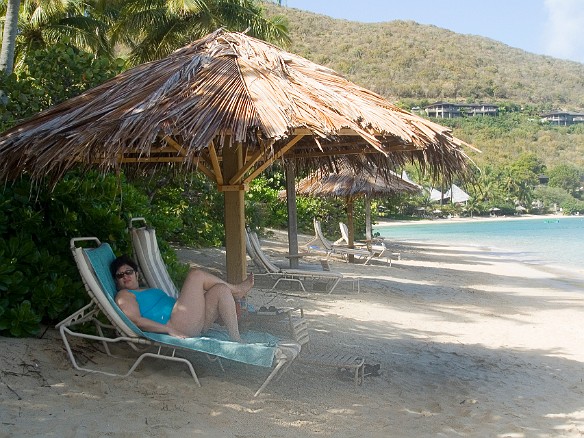 Most days, Max relaxed on the beach just outside our back door Feb 5, 2007 10:02 AM : BVI, Maxine Klein, Virgin Gorda 2007-02