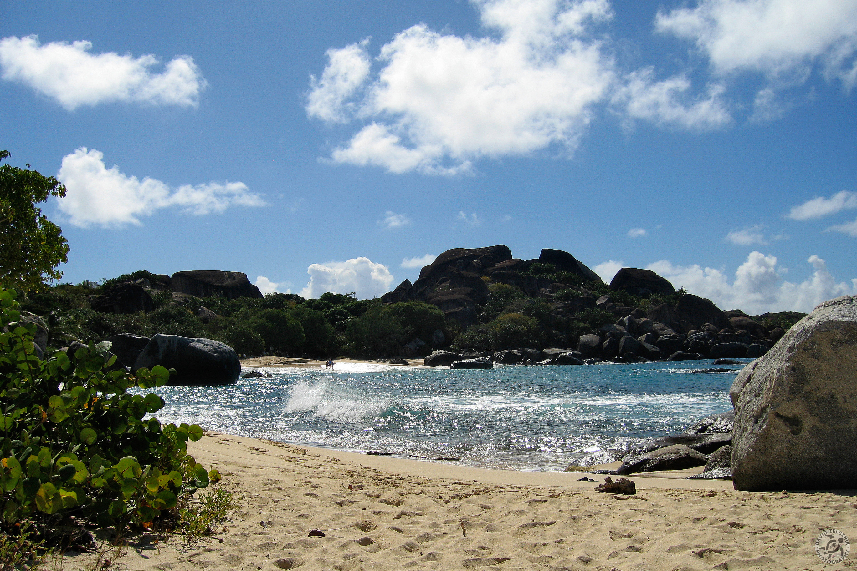 SpringBay-8
