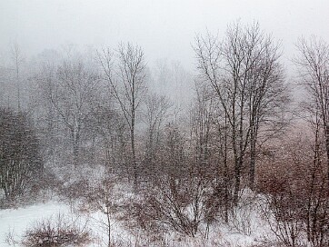 Wintry Blizzards of 2014