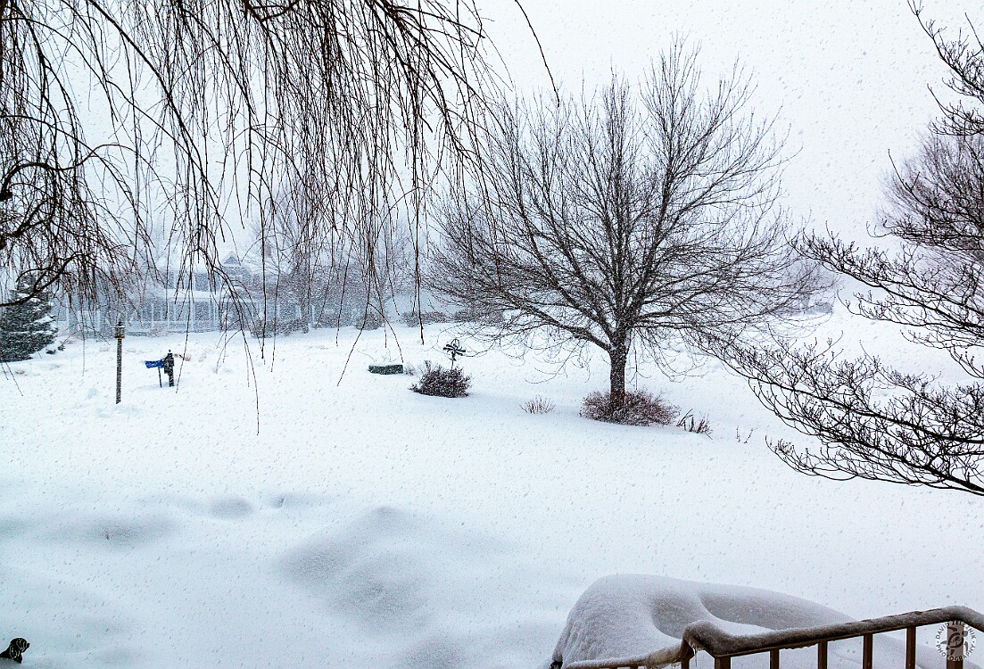 Winter2014-001 Blizzard of Feb 13, 2014