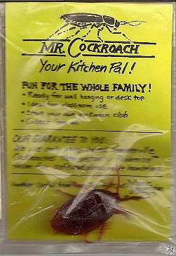 MrCockroach