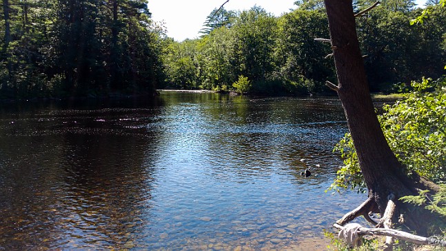 OssipeeValley2017-001 We had the swimming hole on the river all to ourselves Sunday afternoon