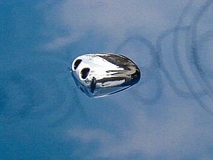 Chrome Windshield Washer Nozzles