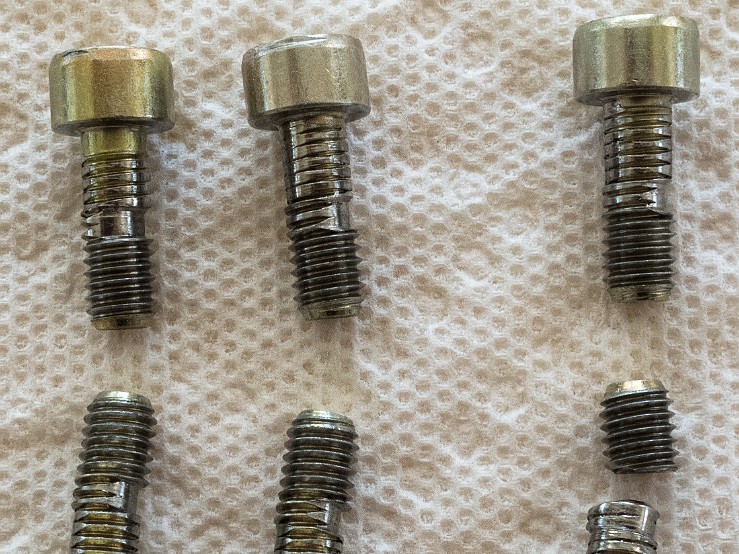 VANOS Cam Bolts